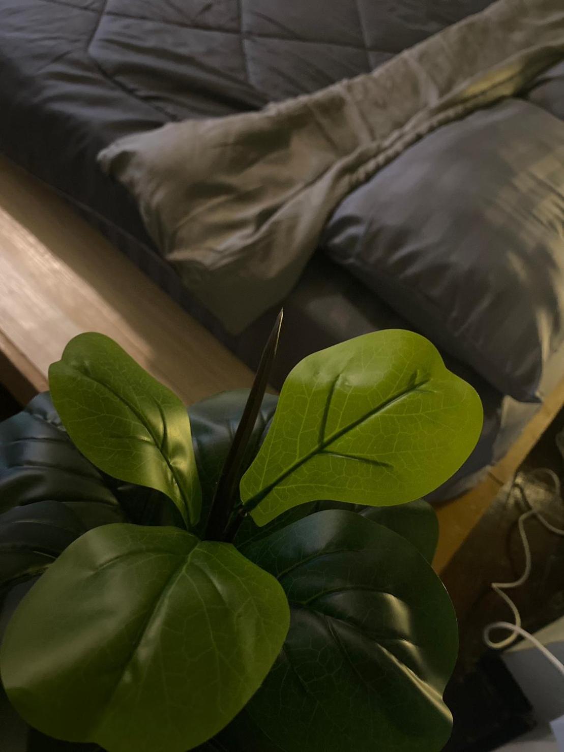Rhythm Of Life Guesthouse 56 Bangkok Luaran gambar